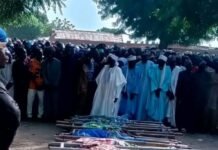 Bandits kill 17, injure 10 in Zamfara
