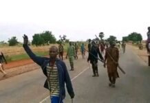 Troops Neutralise Several Terrorists, Recover 600 Rustled Cattle in Zamfara