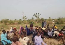 Troops Dismantle ISWAP Roadblock, Free 53 Hostages