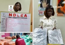NDLEA intercepts China-bound businesswoman, pins down N12.3bn Loud