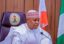 Kano governor nominated for security excellence award