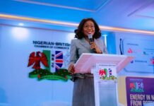 Tinubu’s energy reforms yielding significant gains, says presidency