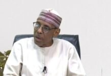 State police shouldn’t be introduced now, says Baba-Ahmed