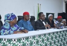 We must do everything to preserve democracy — Ojukwu