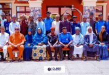 Zamfara Advocacy Team, Human Rights Commission Partner to Tackle TB, Gender-Based Violence