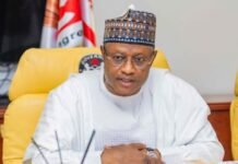 Breaking: Arewa Group Applauds Tinubu, Uba Sani as FG Strikes Mineral Jackpot in Kaduna
