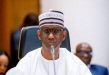 How President Tinubu’s visionary appointment of Ribadu as NSA has been strategic in the war against Terror