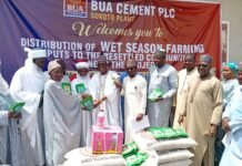 BUA Cement donates N108m farm inputs to 211 farmers in Sokoto