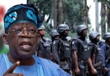 National Assembly Passes State Police Bill, Promises Faster Security Response, Community Policing