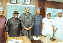 NSC, NFF, Extend Chelle’s contract: approves N1 billion for NPFL Winners