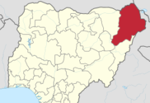Cholera hits over 138 Borno communities, kills 37 villagers