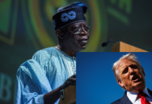 Tinubu revives 154,412 households in Jigawa