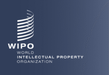 FG, WIPO deepen collaboration to commercialise creativity, research