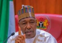 Breaking: Again, gunmen kill teacher, abduct students in Borno