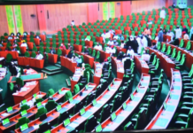 Xenophobia: Reps Demand Review of Nigeria-South Africa Ties, Seek Compensation for Victims