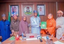 Radda Mulls Special Court for SGBV Perpetrators