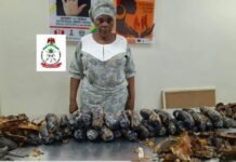 Nigerian-British grandma arrested with 13kg cocaine concealed in plantain peels