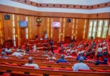 Senate Rejects Fresh Probe of N1.3bn ‘Fake’ Agency Budget, Awaits ICPC Report