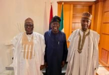 Tambuwal’s ally dumps ADC, meets Tinubu