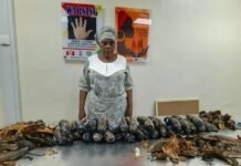 NDLEA arrests UK-based grandma with Cocaine hidden in plantain peels