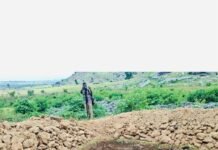 EHCON, NBMA destroy N40m Illegal GMO Cotton Seeds