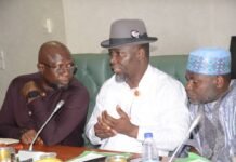 Reps Move to Expand Funding Sources for South-South Development Commission