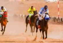 Horse Racing Federation targets nationwide expansion, anti-doping reforms