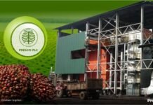 Presco to invest $100m in Ogun oil palm project