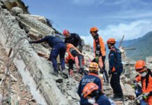 Dogs, drones and sound detectors: How rescuers search for quake survivors
